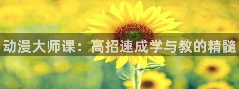 58动漫官网入口