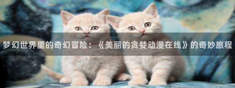 58动漫网在线观看
