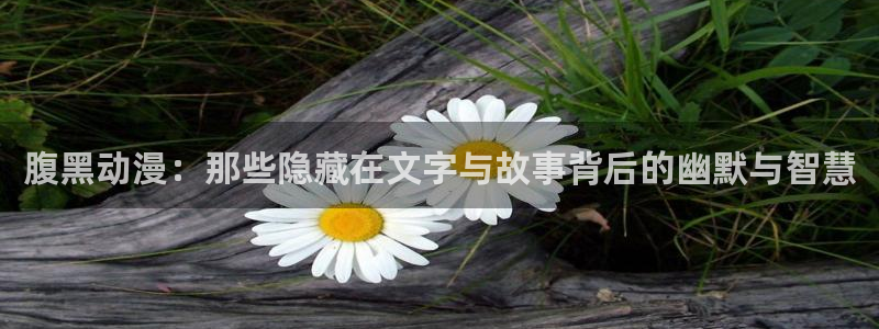 58动漫网观看